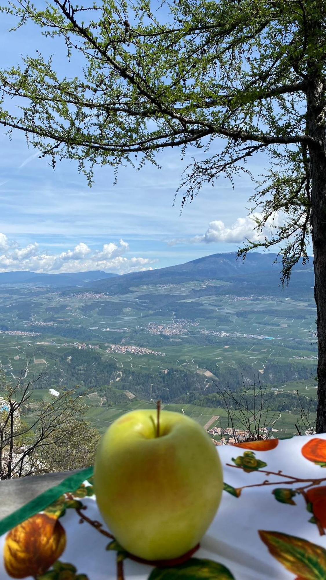 フラヴォーン Agritur La Crucolaヴィラ エクステリア 写真